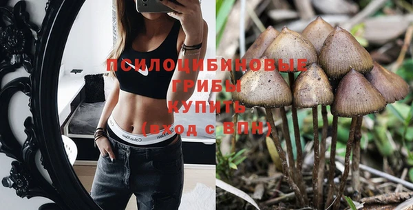 молекула духа Белокуриха