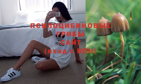молекула духа Белокуриха